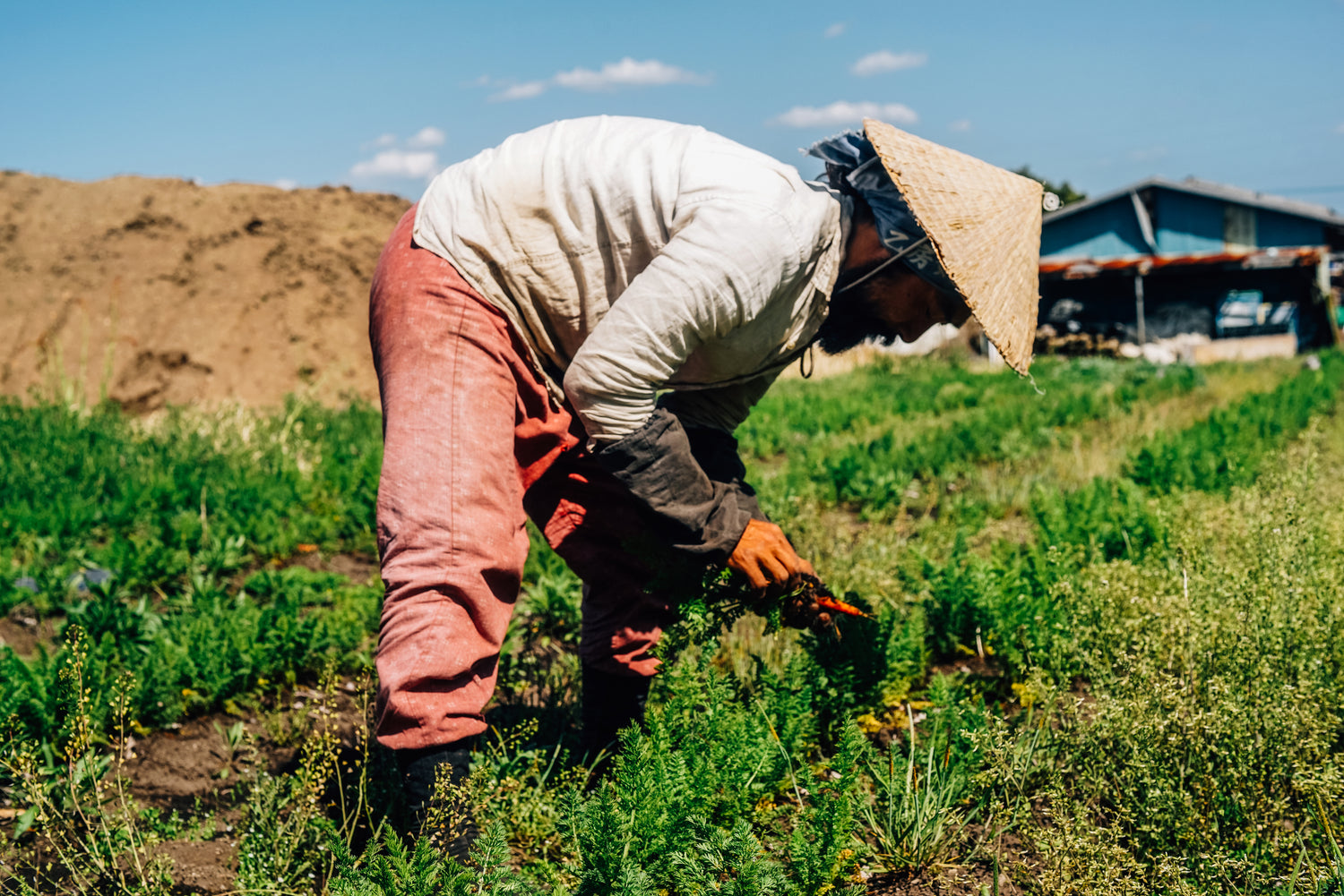 Sustainable Farming From Hawai'i